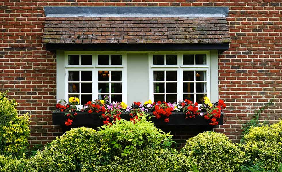 House exterior window with flowers and hedge