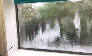 Window with condensation